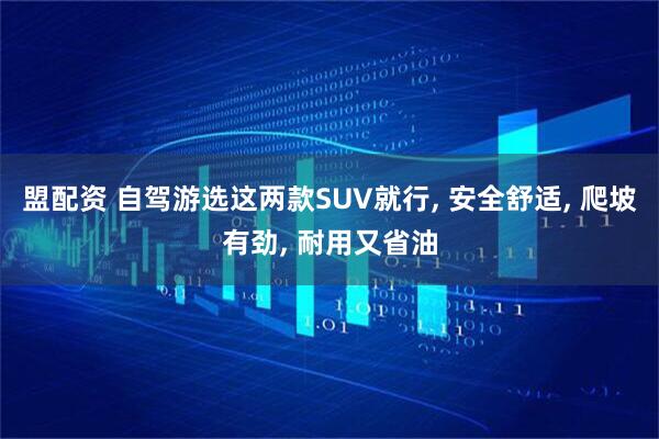 盟配资 自驾游选这两款SUV就行, 安全舒适, 爬坡有劲, 耐用又省油