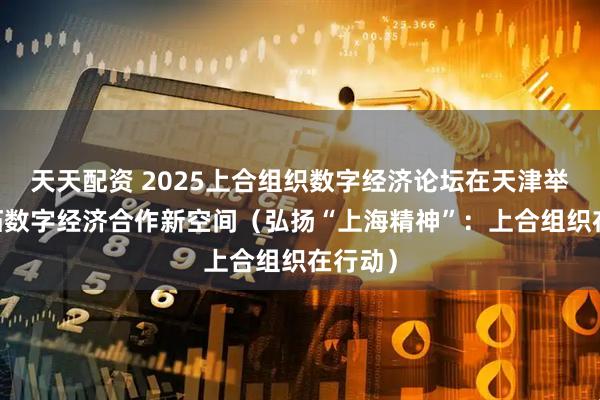 天天配资 2025上合组织数字经济论坛在天津举办 共拓数字经济合作新空间（弘扬“上海精神”：上合组织在行动）