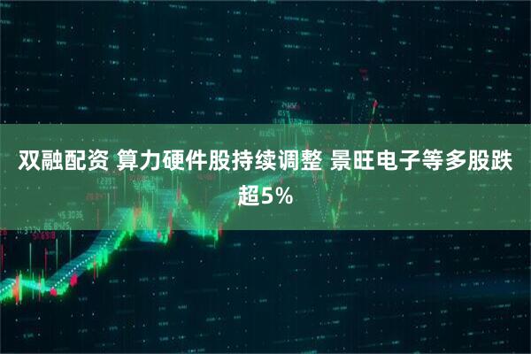 双融配资 算力硬件股持续调整 景旺电子等多股跌超5%
